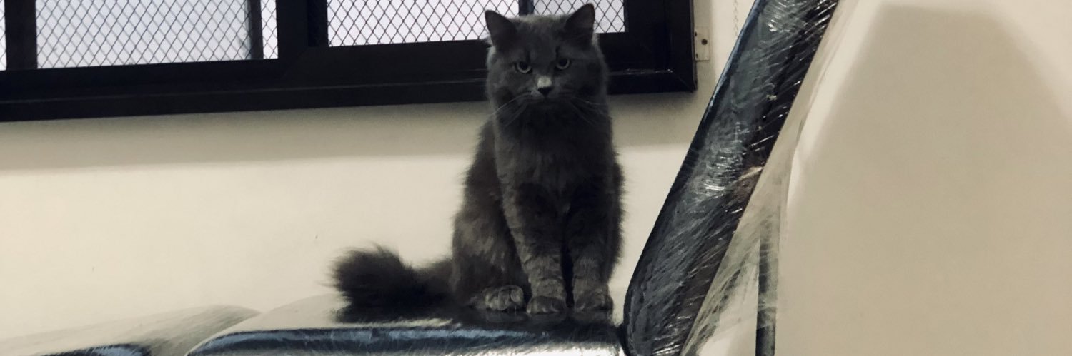 GRRTHY 🐻🌲🦷 banner