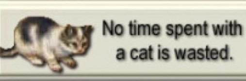 pelusacandy2762's profile banner image