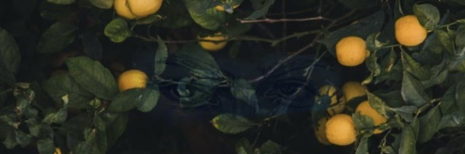 suggestivelemon's profile banner image