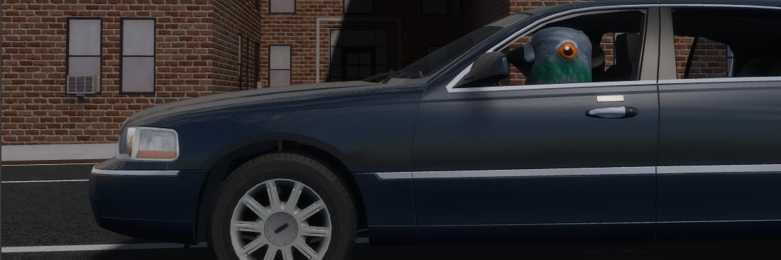 TCpigeon's profile banner image
