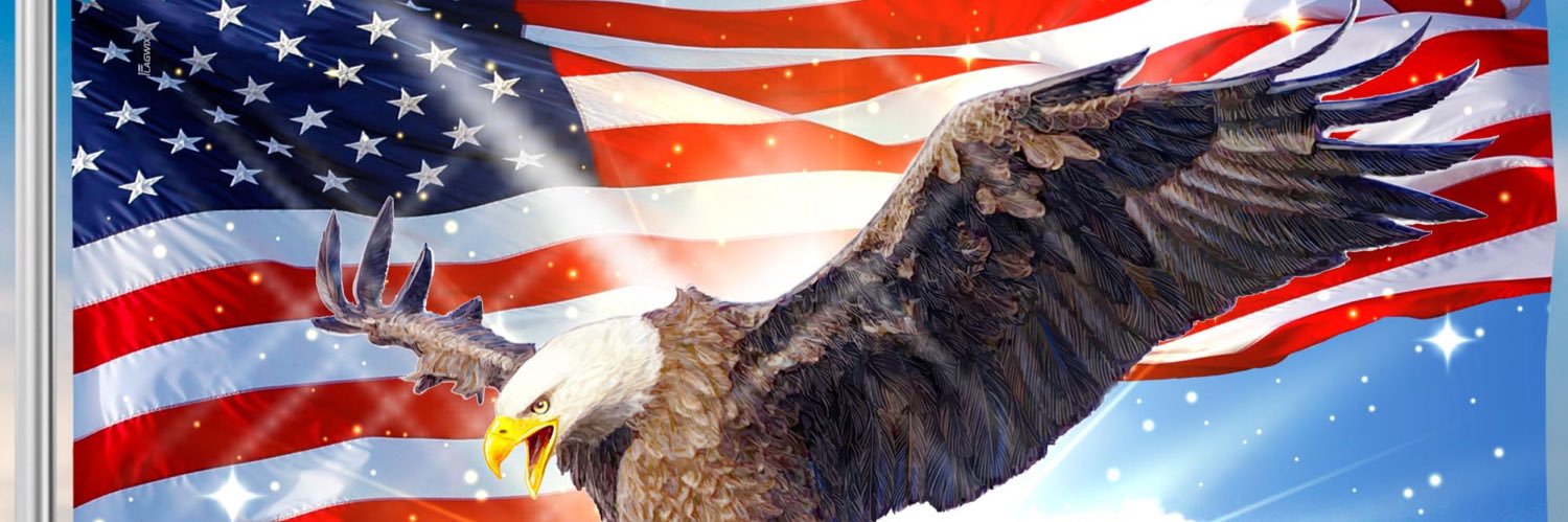 kEvN_SD's profile banner image