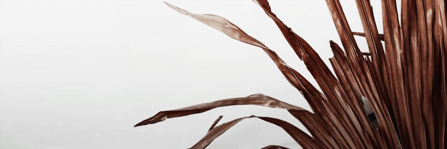 𝑻𝒆𝒅𝒅𝒚 𝑳𝒖𝒑𝒊𝒏. banner