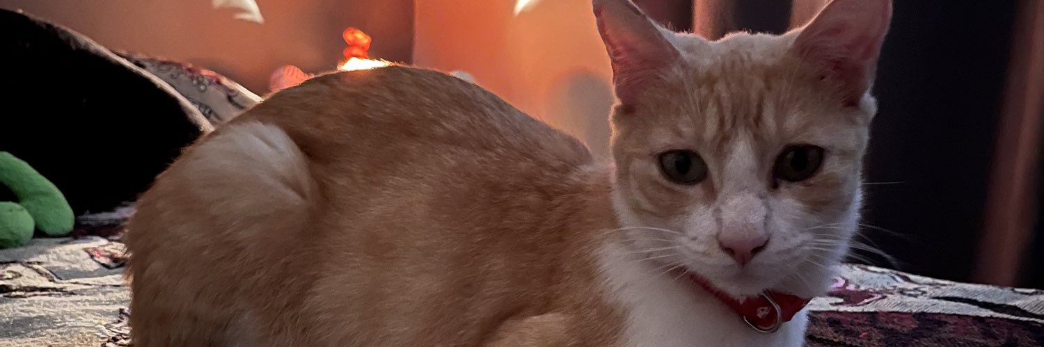 miligerbaudoo's profile banner image