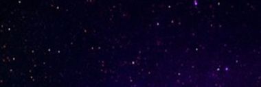 WinterXSnowy's profile banner image