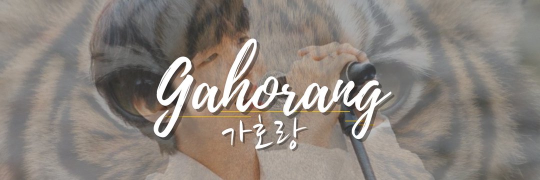 ga_ho_rang's profile banner image