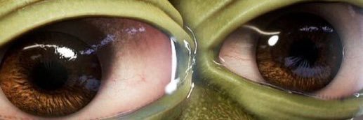 NoNothedilf's profile banner image