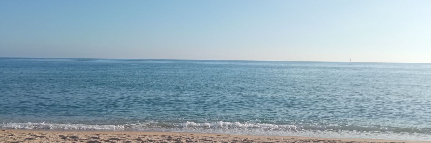 lpericot's profile banner image