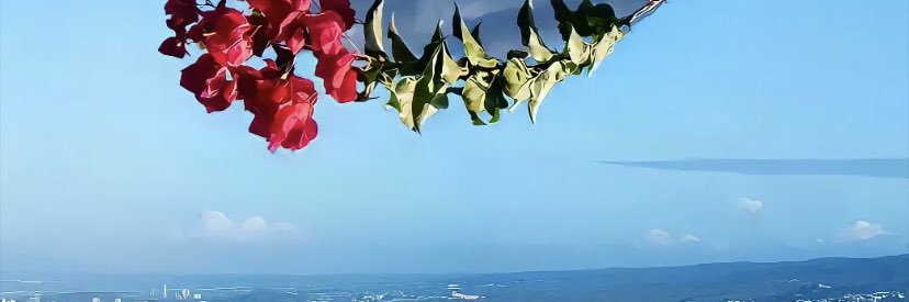 lubenwei64's profile banner image