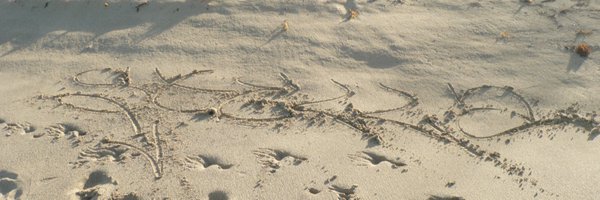 bareybaby Profile Banner