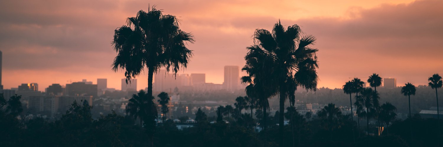 Westside For Everyone's banner
