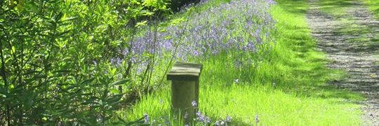 🚴‍♂️cycling Leah😀 🚴‍♂️ banner