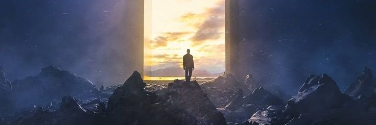 THE PROFESIONAL banner