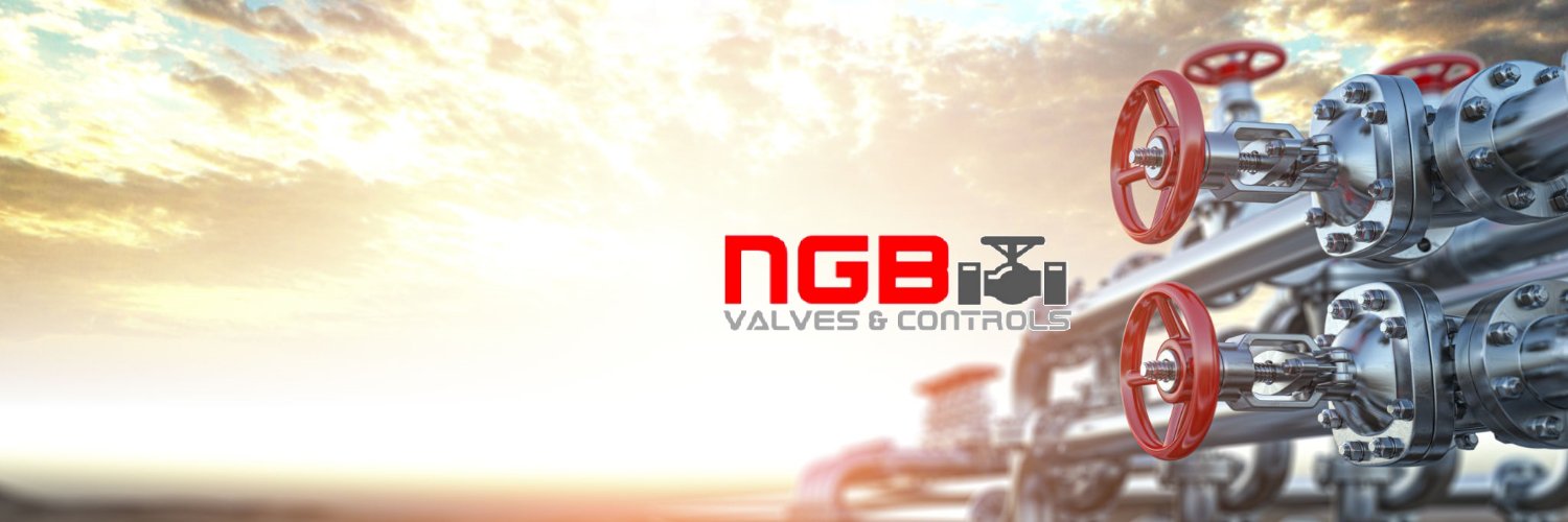 NGB VALVES & CONTROLS banner