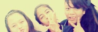 MelissaFSantos's profile banner image