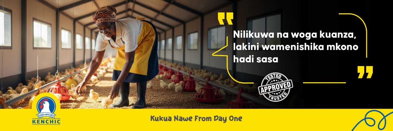 Kenchic Day-Old Chicks banner