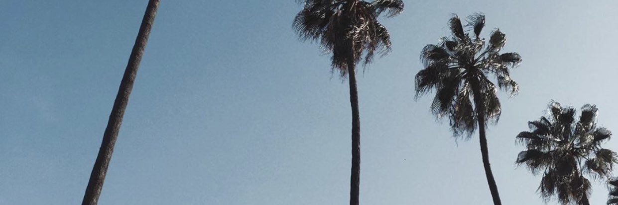 amvnet_'s profile banner image