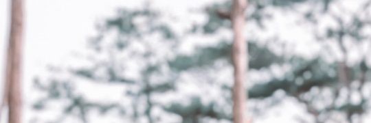 callmejoachim's profile banner image