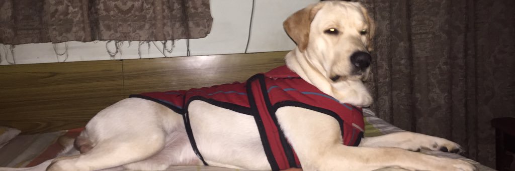 Kanav Anand™ banner