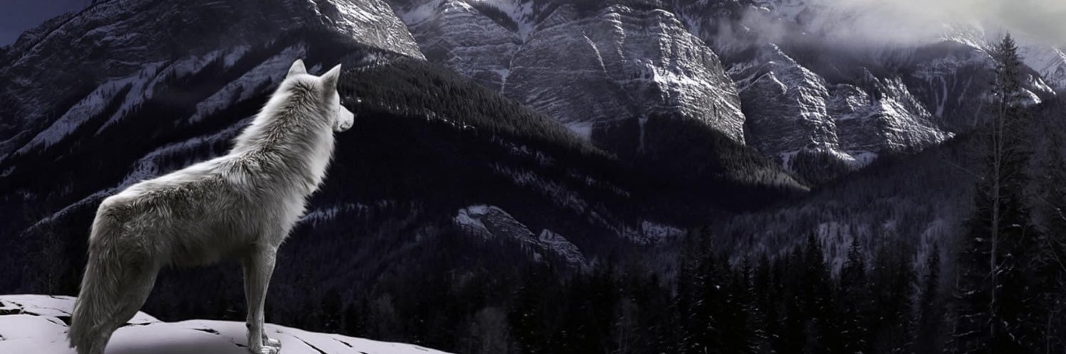 ceceshadow's profile banner image