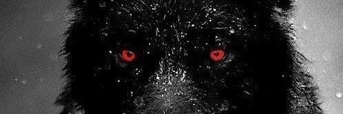 Millionboy banner