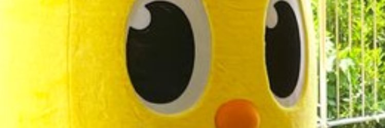 poko1980's profile banner image