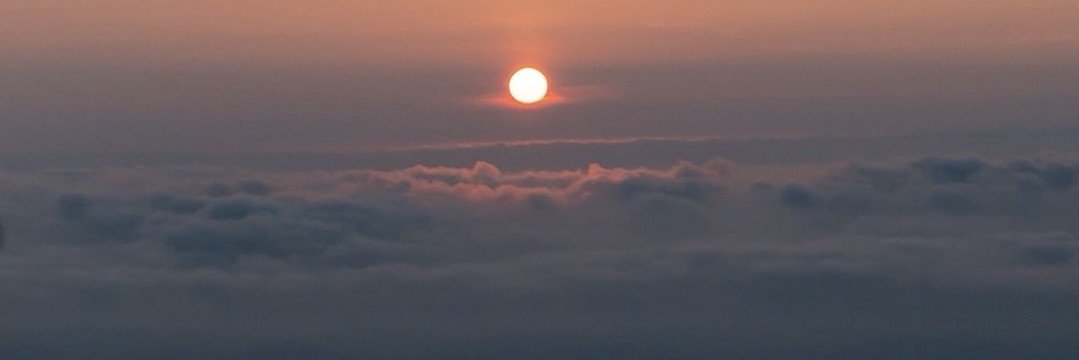 MSG_960242's profile banner image