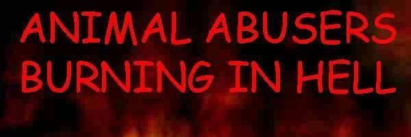 Amitava63051821 Profile Banner