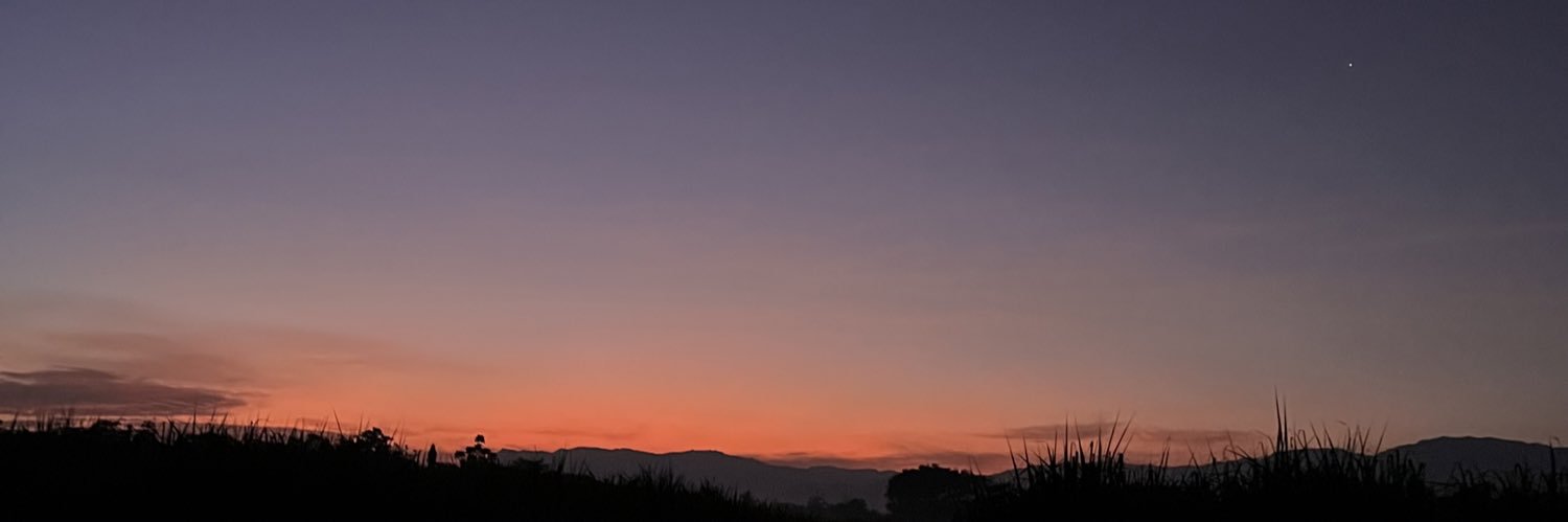 arktorrep's profile banner image