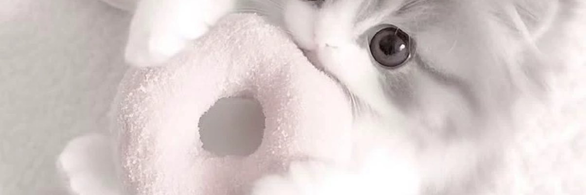 rql__a's profile banner image