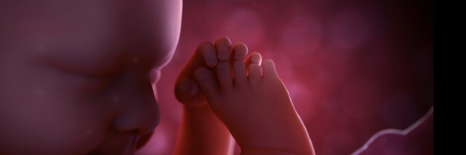 fitech's profile banner image