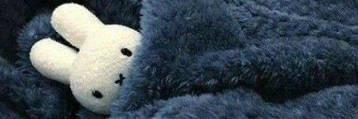 viki²⁸ 💋🪩 KISSCO ERA banner