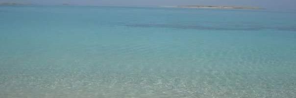 Ioanna Melidou banner