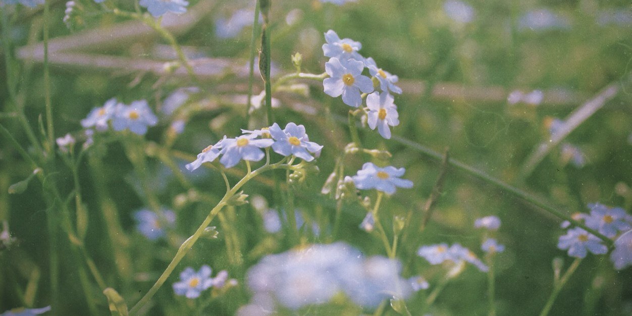 mimimi_love's profile banner image