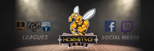 HornetsCf Profile Banner