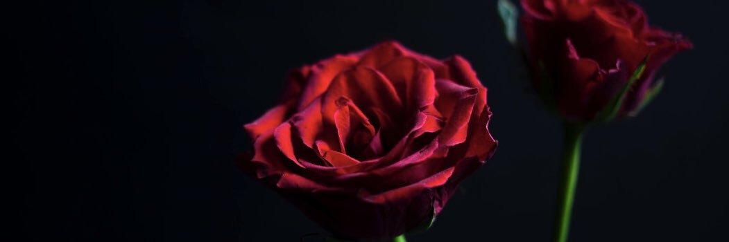 Энхээнэ💍 banner