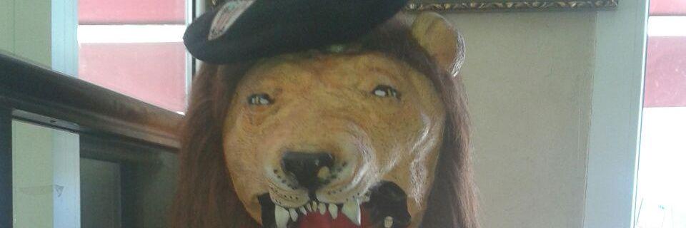 leon endiablado banner