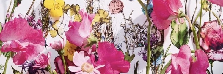 薬華 banner