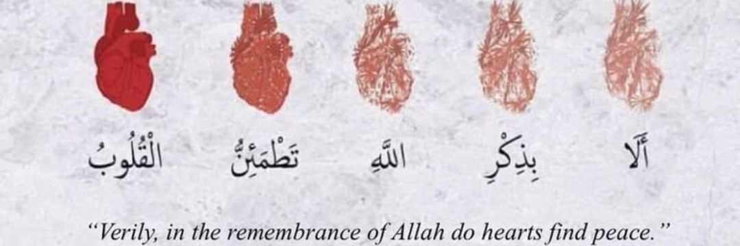 zaahiid_'s profile banner image
