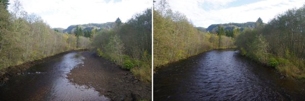 hy_peak Profile Banner