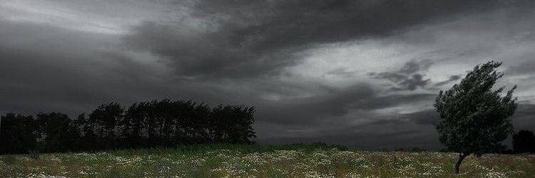 ميج banner