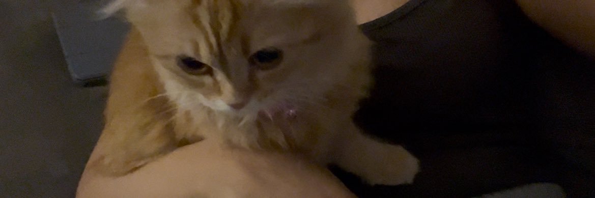 ✯⋄⋆︎︎⋱⋄︎︎⋆✯ banner