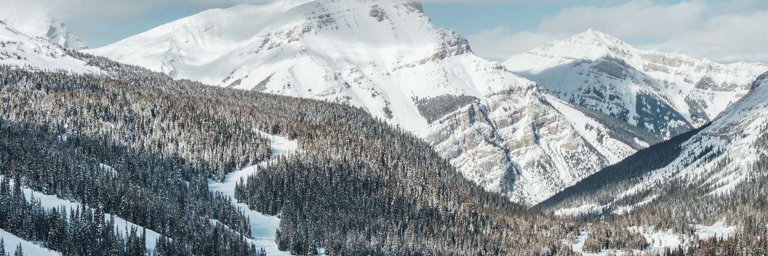SkiedOut banner