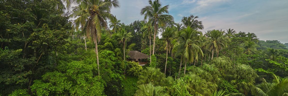 The Farm at San Benito banner