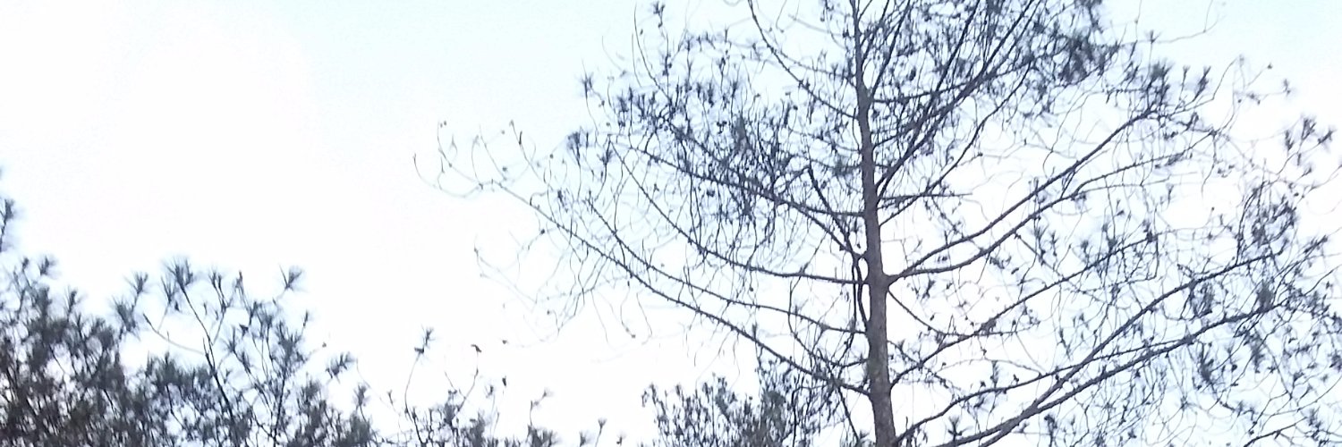 Jenang_Jenengg's profile banner image
