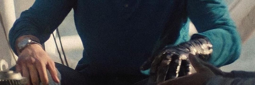 L_windybear94's profile banner image