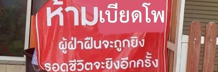 ˗ˏˋ🌷มุ้เม๋ว ♡ ˎˊ˗ banner