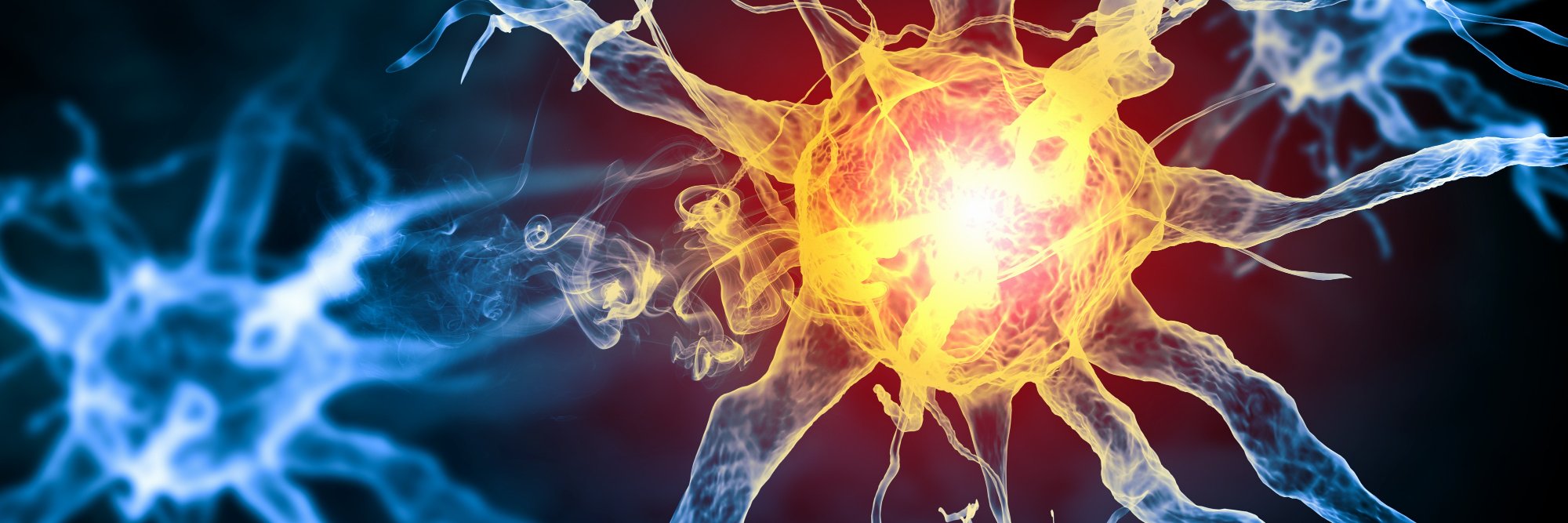 Thilo Stadelmann banner