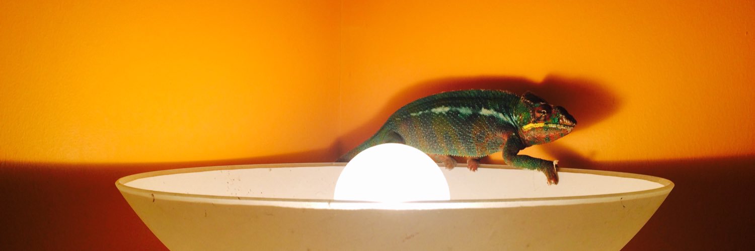 Emily Bedford banner