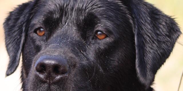 WayneClarkey82's profile banner image