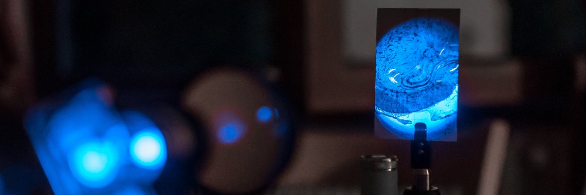 Transylvanian Institute of Neuroscience banner